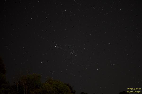 constellation-orion.jpg: Constellation Orion from my backyard.